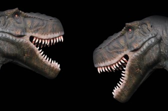 Các nhà cổ sinh vật học Mexico xác định loài khủng long mới