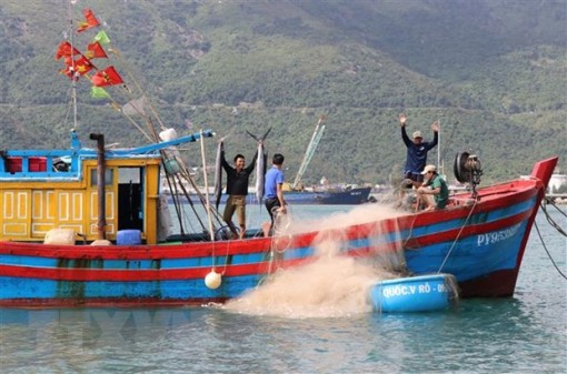 Chủ tịch nước gửi tặng 5.000 lá cờ cho các ngư dân vùng biển đảo