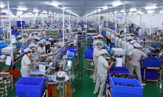 Từ 1-7 sẽ tổng điều tra kinh tế năm 2021 giai đoạn II