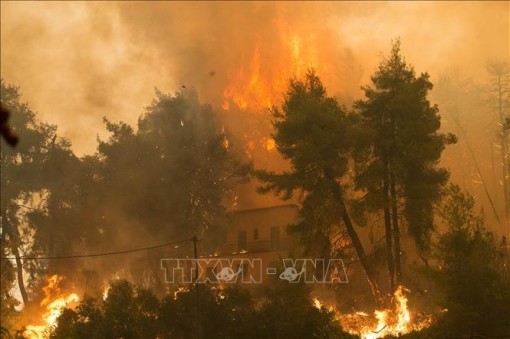Hy Lạp 'oằn mình' đối phó với thảm hoạ cháy rừng