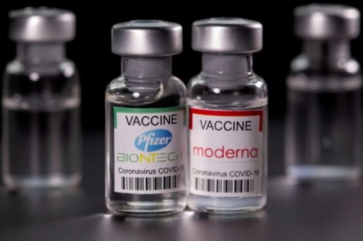 Nghiên cứu mới: Vaccine Moderna tạo kháng thể nhiều gấp đôi Pfizer