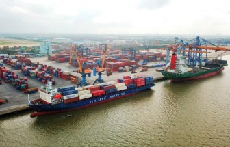 Giá cước vận tải biển gây khó cho doanh nghiệp phục hồi sản xuất