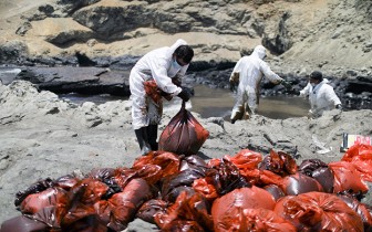 Peru ban bố tình trạng khẩn cấp do tràn dầu