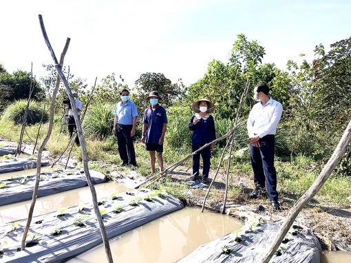 Huyện Châu Phú giảm nghèo bền vững
