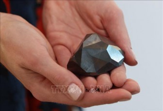 Đấu giá viên kim cương đen lớn nhất thế giới