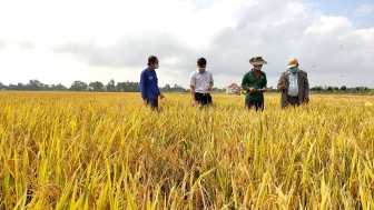 Phú Tân vận động nông dân tham gia liên kết sản xuất - tiêu thụ sản phẩm