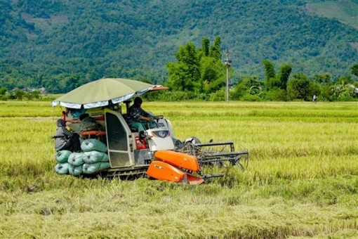 Tọa đàm kết nối doanh nghiệp nông nghiệp Việt Nam-Hoa Kỳ