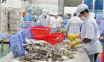 Nam Phi - thị trường đầy tiềm năng cho hàng thủy, hải sản Việt Nam
