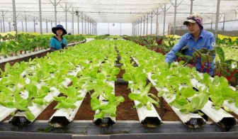 Chỉ đạo, điều hành của Chính phủ, Thủ tướng Chính phủ nổi bật tháng 5/2022