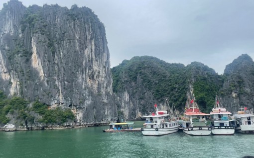 Bình chọn cho Việt Nam tại Giải thưởng Du lịch Thế giới 2022