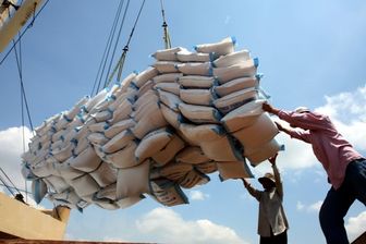 Nhiều tín hiệu mở ra với xuất khẩu gạo nửa cuối năm