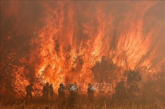 Tây Ban Nha chứng kiến cháy rừng tồi tệ nhất trong lịch sử