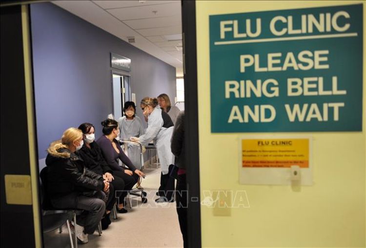 Australia đối mặt với dịch cúm nghiêm trọng