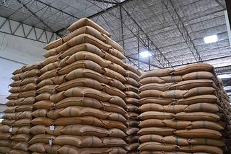 Thị trường nông sản thế giới: Nhu cầu đối với gạo Ấn Độ tăng mạnh