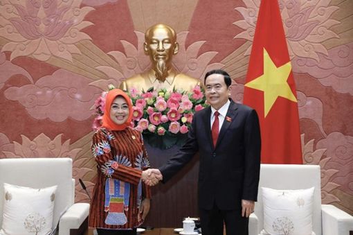 Đẩy mạnh hơn nữa hợp tác nghị viện giữa Việt Nam và Indonesia