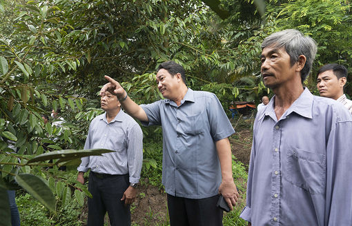 Bí thư Huyện ủy Châu Thành Lê Phước Dũng khảo sát các mô hình sản xuất nông nghiệp hiệu quả