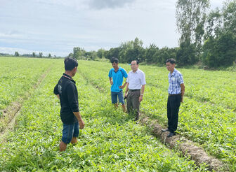 Bí thư Huyện ủy Tịnh Biên Phan Văn Cường khảo sát tình hình sản xuất nông nghiệp tại xã Núi Voi