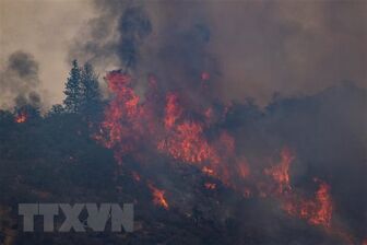 Mỹ: Đám cháy thiêu rụi 1.000ha rừng trong vòng chưa đầy 24 giờ