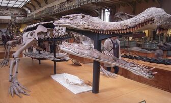 Siêu quái vật 12 m chuyên ăn thịt khủng long xuất hiện ở Sahara