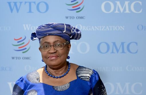 WTO: Kinh tế thế giới trên đà suy thoái