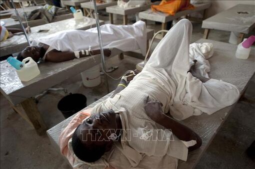 WHO cảnh báo nguy cơ gia tăng số ca mắc bệnh tả tại Haiti
