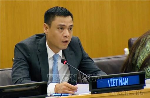 Tổng Thư ký LHQ sắp thăm Việt Nam, tân Trưởng Đại diện UNDP cam kết hỗ trợ Việt Nam phát triển