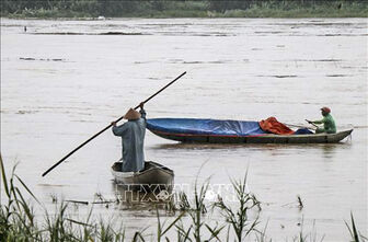 Thời tiết ngày 21/11: Khu vực từ Đà Nẵng đến Bình Thuận có mưa vừa, mưa to