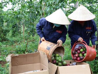 Hoàn thành mở cửa thị trường nhiều nông sản sang Trung Quốc, New Zealand và Nhật Bản