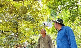 Hội Nông dân huyện Tri Tôn nỗ lực chăm lo hội viên nông dân