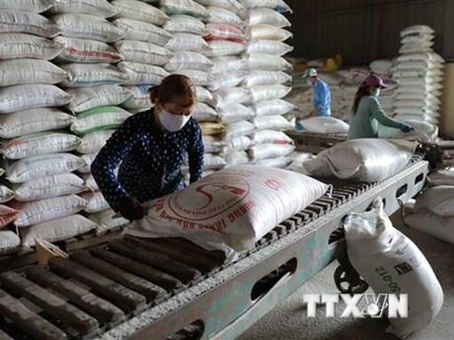 Thị trường nông sản thế giới: Giá gạo châu Á tăng nhờ nhu cầu mạnh mẽ