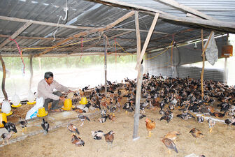 Khai thác thế mạnh nông nghiệp ở Tri Tôn