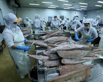 Lần đầu tiên cá ngừ trở thành ngành hàng giá trị tỷ USD
