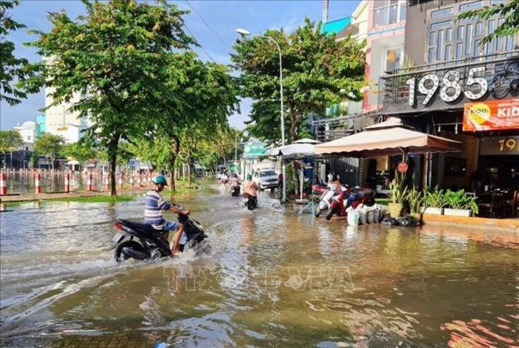 Mô hình nhà chống lũ an toàn  giải pháp hiệu quả cho mùa mưa bão   AACVIGLACERA