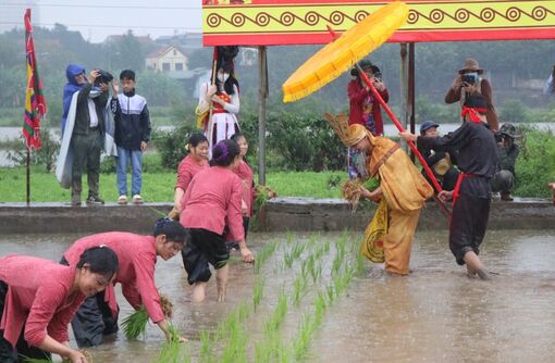 Tái hiện sống động nghi lễ Vua Hùng dạy dân cấy lúa