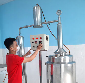 Nghiên cứu quy trình sản xuất tinh dầu húng quế