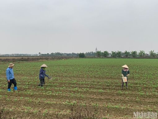 Nâng cao kiến thức về xây dựng nông thôn mới kiểu mẫu