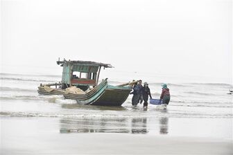 Chủ động ứng phó với sóng cao, gió Đông Bắc giật mạnh trên biển