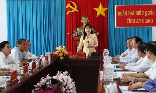 Đại biểu Quốc hội An Giang chất vấn Chánh án Tòa án nhân dân tối cao