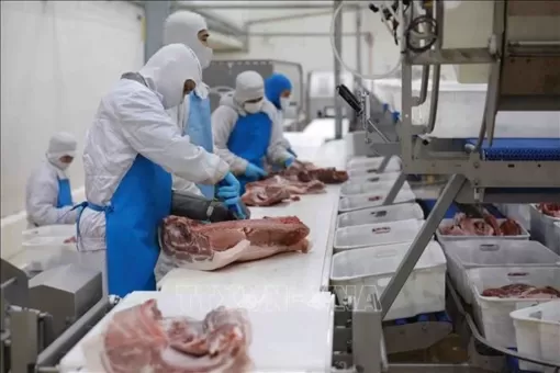 CPI quý I ước tăng 4,2  - 4,3% so với cùng kỳ năm ngoái