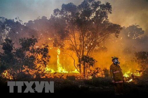 Thái Lan “chạy đua” với thời gian để dập tắt cháy rừng tại Nakhon