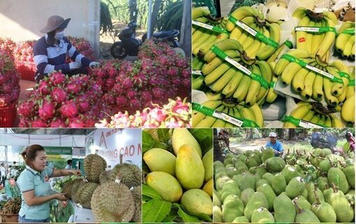 Ngành nông nghiệp phấn đấu kim ngạch xuất khẩu quý 2 đạt 14 tỷ USD
