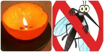 6 cách đuổi muỗi tự nhiên nhanh chóng và hiệu quả