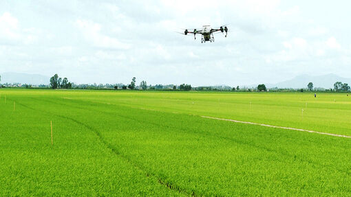 Ứng dụng drone vào nông nghiệp