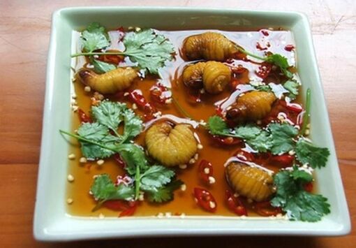 Những loại sâu bọ 'độc nhất vô nhị' đắt đỏ, thực khách săn lùng