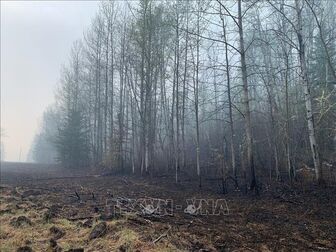 Canada: Ban bố lệnh sơ tán bắt buộc do cháy rừng tại Novia Scotia