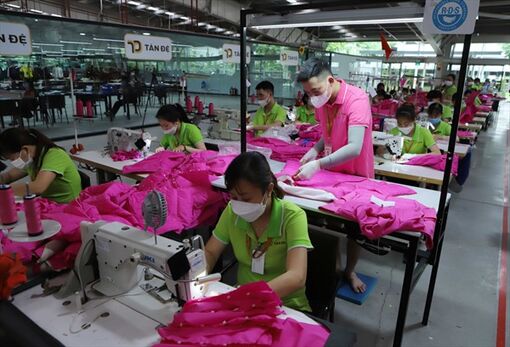 Doanh nghiệp là nền tảng, động lực cho sự tăng trưởng kinh tế