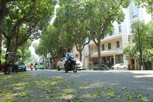 Thời tiết ngày 4/6: Nắng nóng ở Bắc Bộ giảm dần