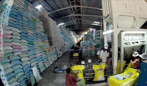 Tổng cục Dự trữ Nhà nước đấu thầu mua 220.000 tấn gạo