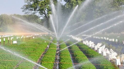 Bảo đảm nguồn nước cho sản xuất nông nghiệp
