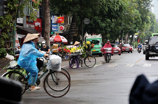 Thời tiết ngày 10/6: Vùng núi và ven biển Bắc Bộ có mưa rào và dông